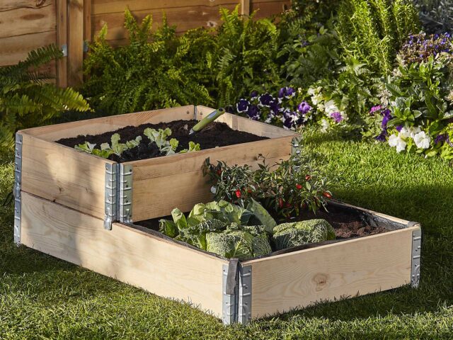 Raised veg planters are the ideal way of creating a kitchen garden