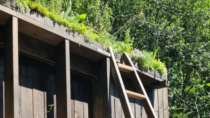 Tomie's Cuisine the Nobonsai Balcony Garden at RHS Chelsea 2024