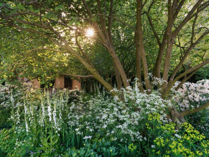 The National Garden Scheme Garden at RHS Chelsea 2024