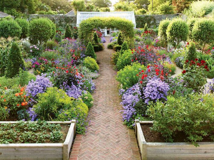 Creating the perfect border either side of a walkway can make an elegant view in your garden