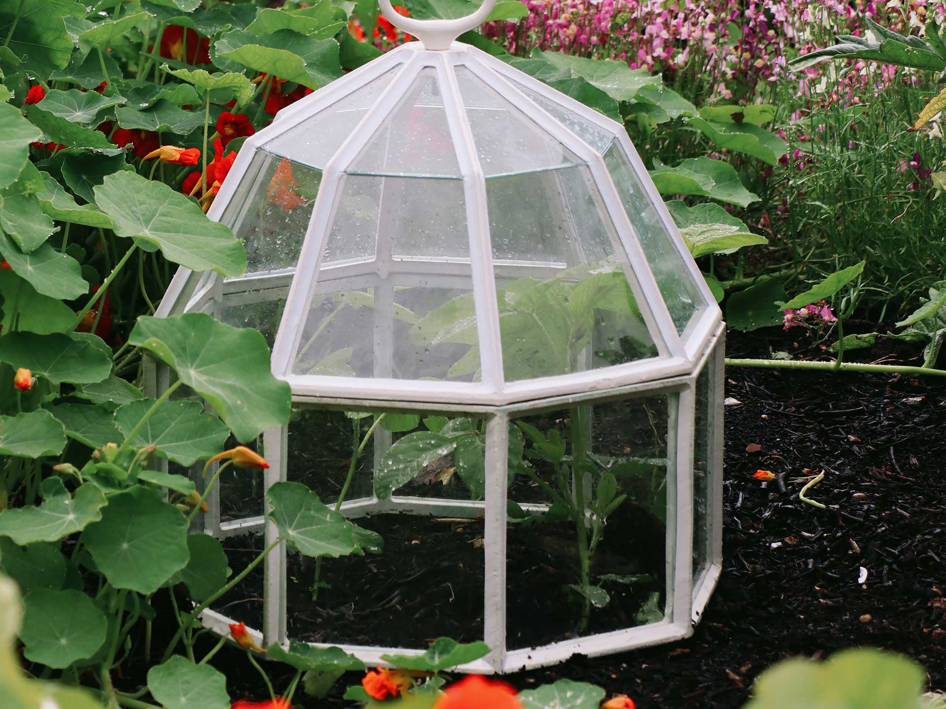 Beautiful hand-crafted Victorian cloches from Claverton Cloches