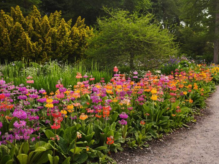 In North Yorkshire, RHS' Harlow Carr has a colourful way of planting the perfect borders