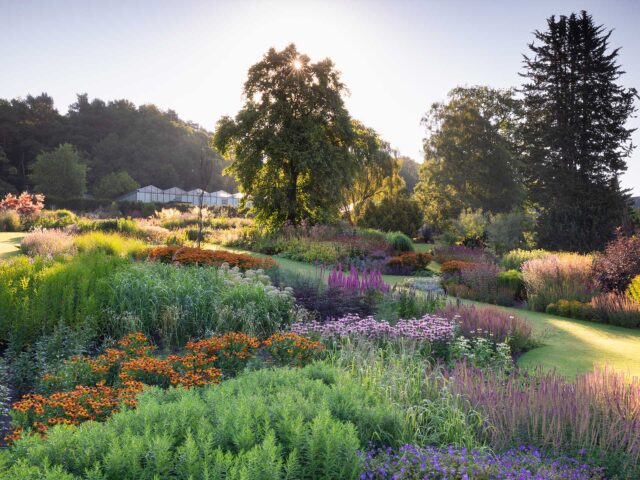 Consider your planting scheme and what colours will work well together