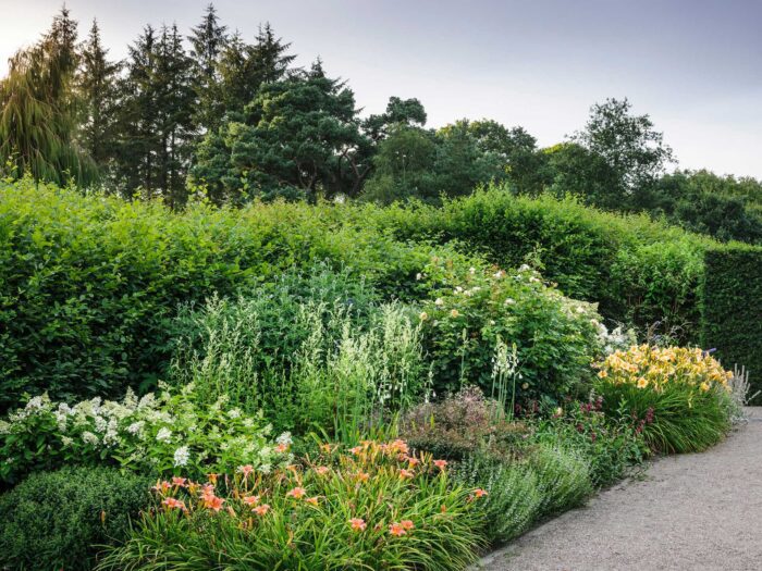 Down in North Devon, RHS Rosemoor's gardens are wild and wonderful