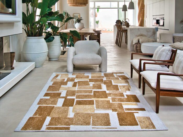 Living room with patterned brown and white rug